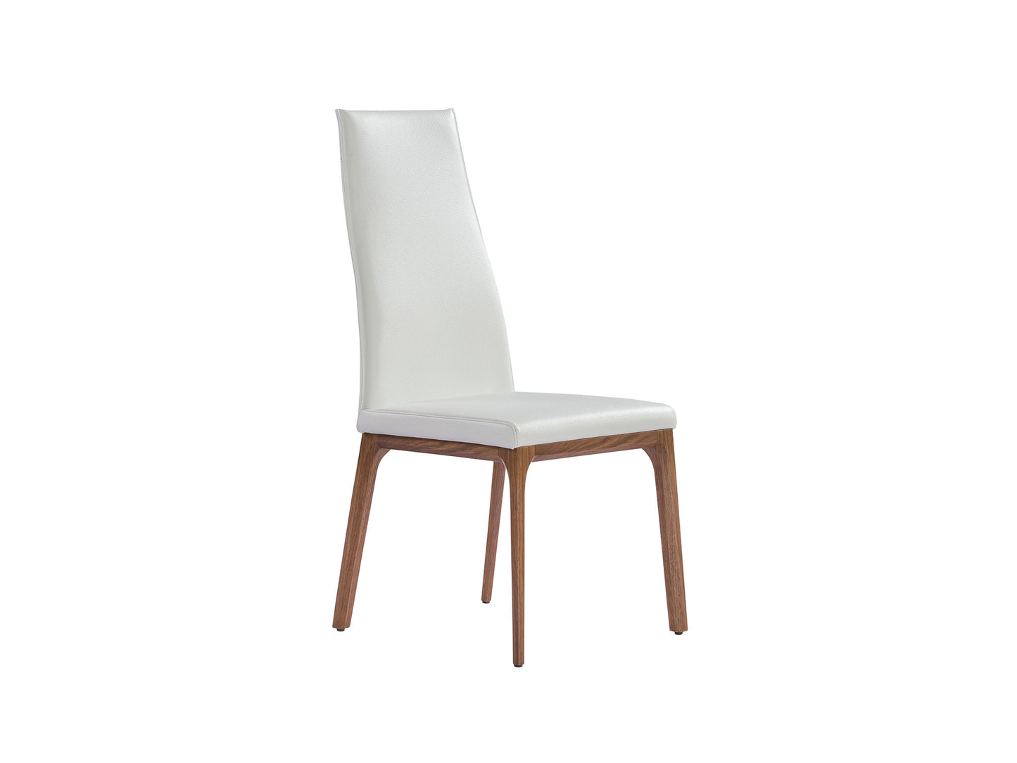 Ricky Dining Chair : Set of 2