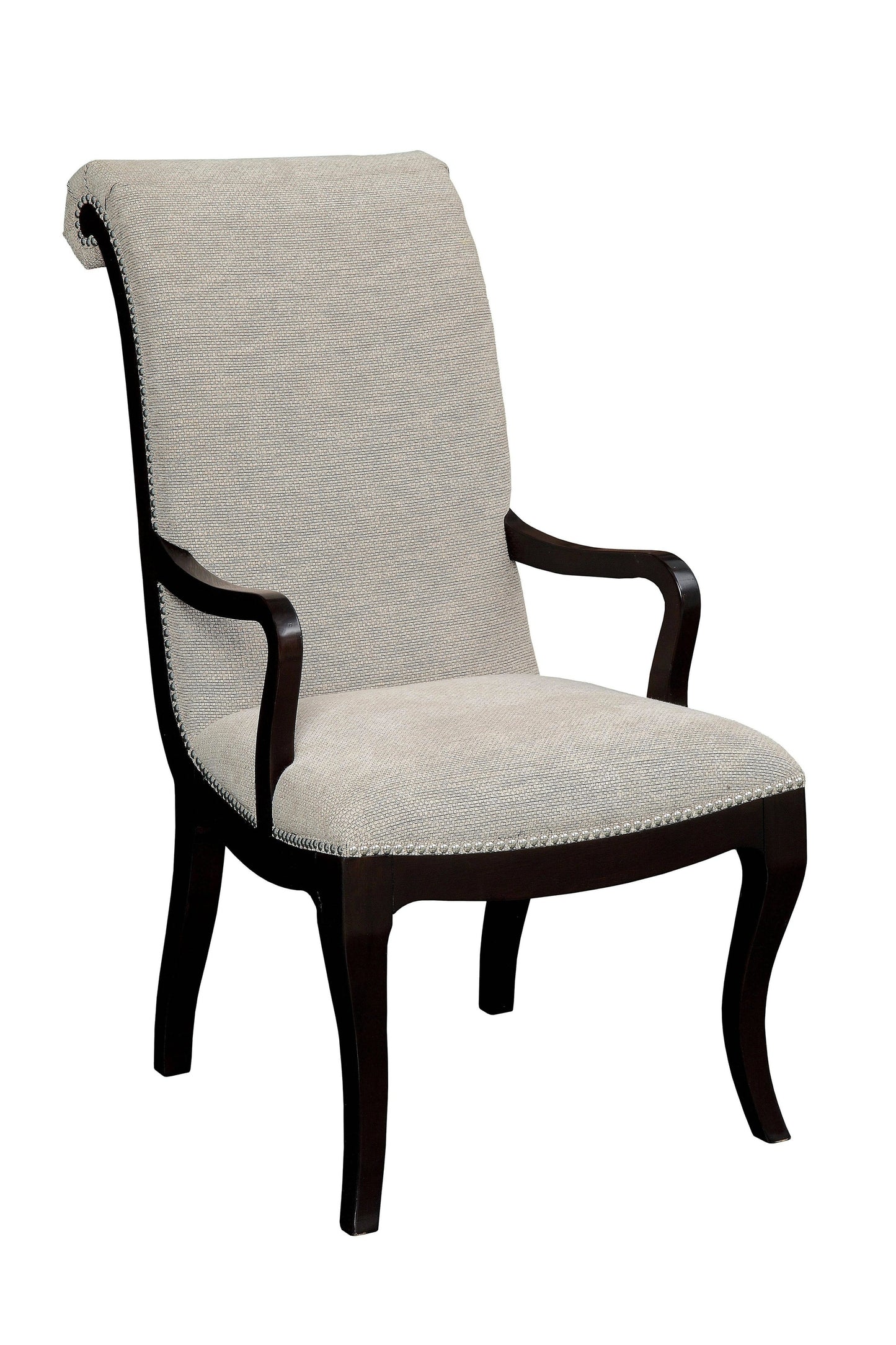 Denise Transitional Padded Arm Chairs (Set of 2)